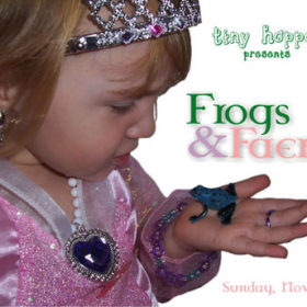 Frogs and Faeries Birthday Party invite